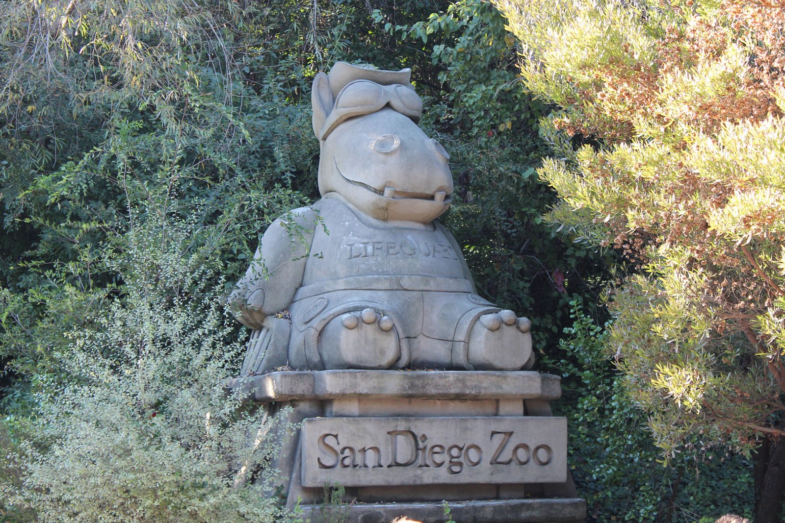 San Diego Zoo Part II 102